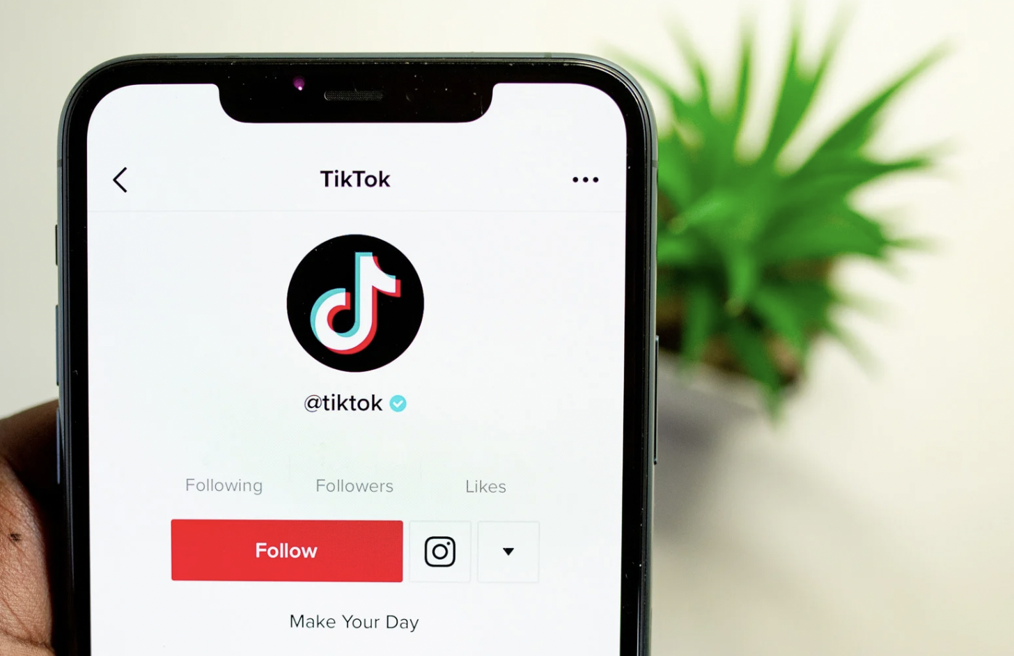 É possível um mundo sem TikTok ?